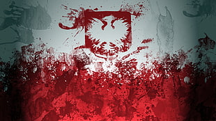 Poland,  Paint,  Stain,  Background  HD wallpaper